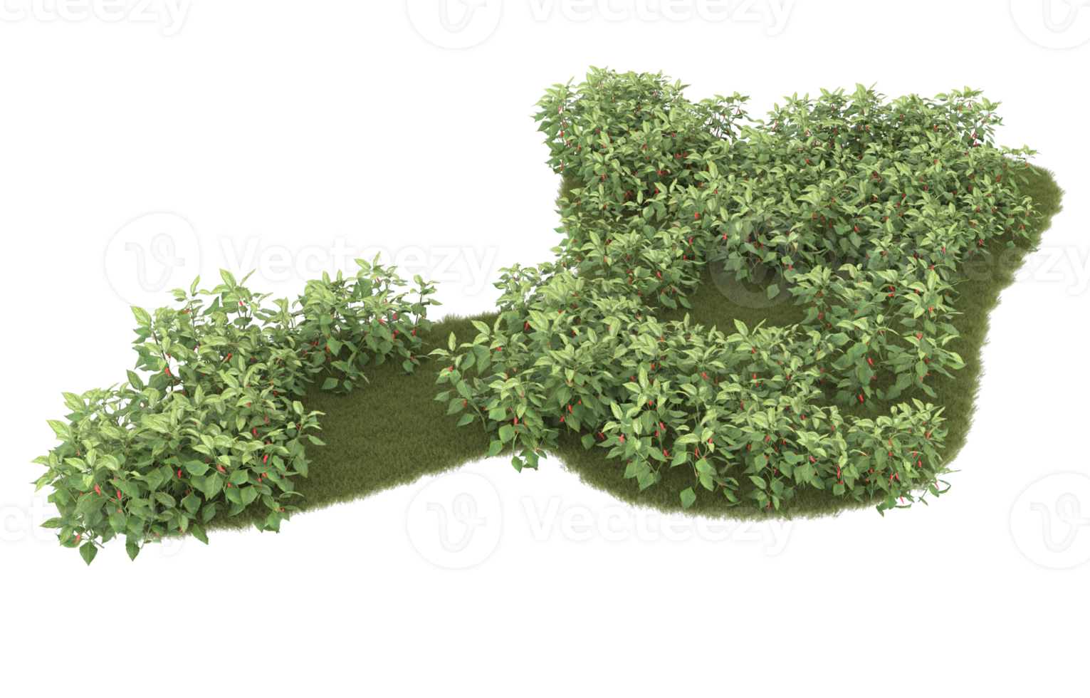 Realistic foliage isolated on transparent background. 3d rendering - illustration png
