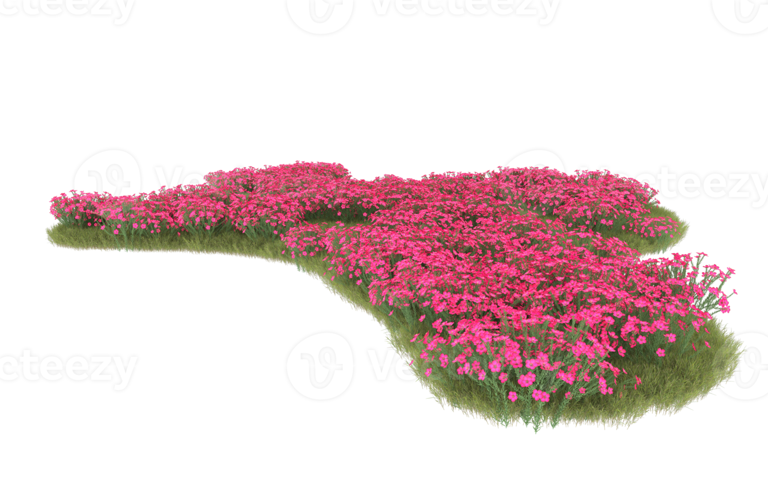 Realistic foliage isolated on transparent background. 3d rendering - illustration png