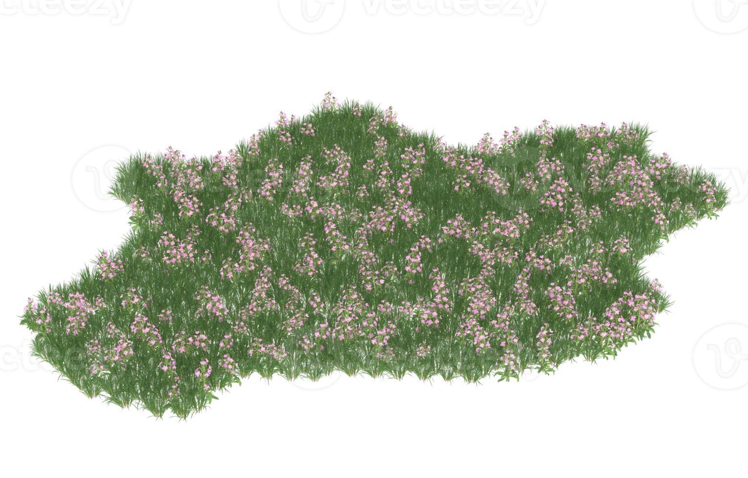 Realistic foliage isolated on transparent background. 3d rendering - illustration png