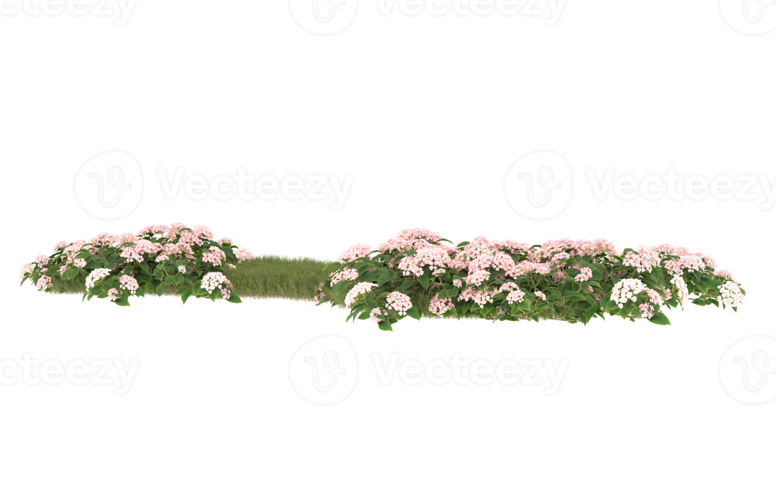 Realistic foliage isolated on transparent background. 3d rendering - illustration png