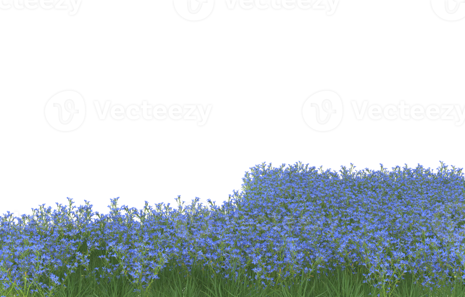 Realistic foliage isolated on transparent background. 3d rendering - illustration png