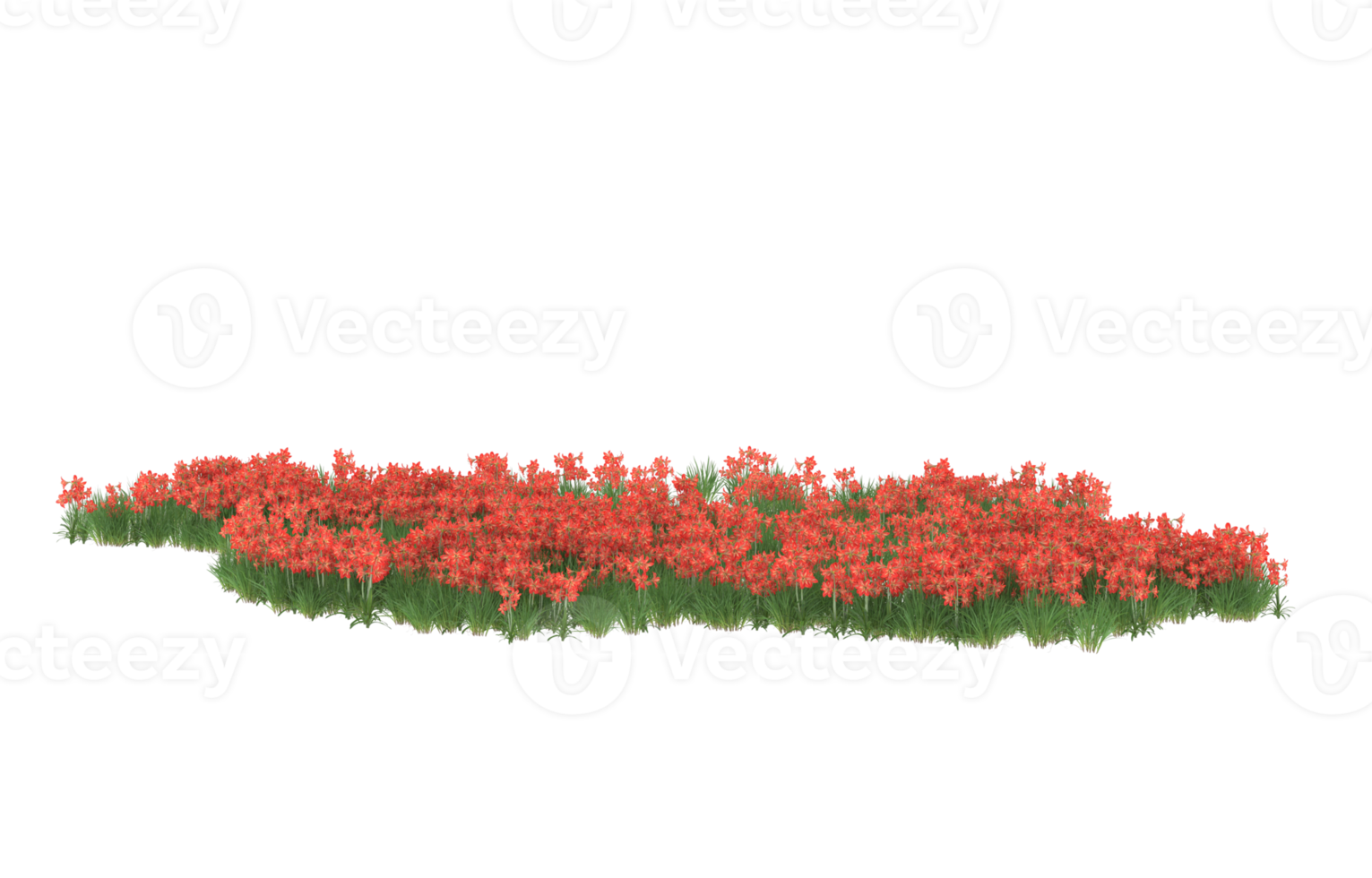 Realistic foliage isolated on transparent background. 3d rendering - illustration png