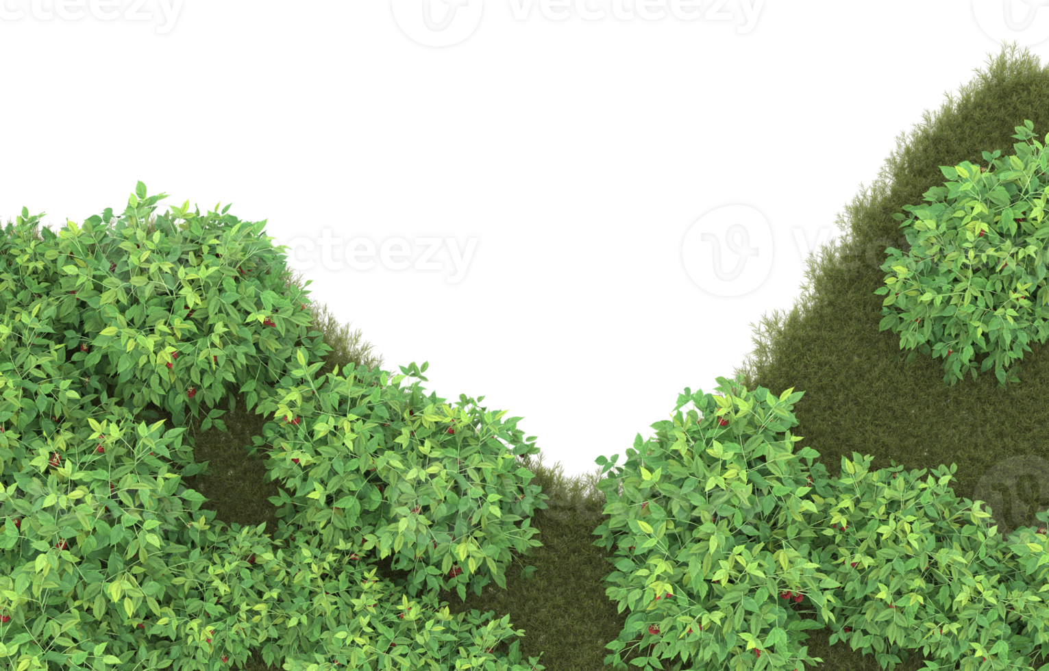 Realistic foliage isolated on transparent background. 3d rendering - illustration png