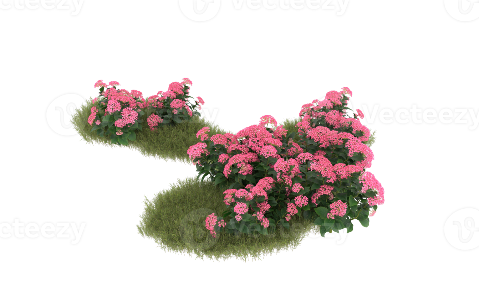 Realistic foliage isolated on transparent background. 3d rendering - illustration png