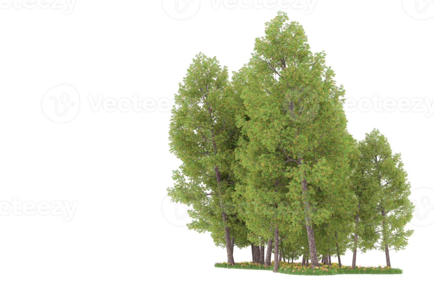 Realistic forest isolated on transparent background. 3d rendering - illustration png