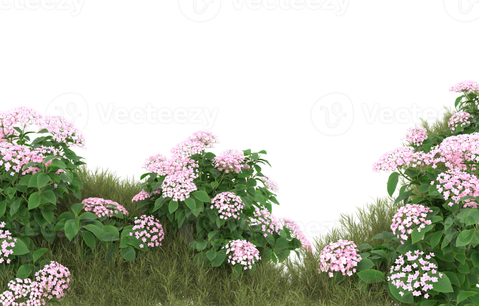 Realistic foliage isolated on transparent background. 3d rendering - illustration png