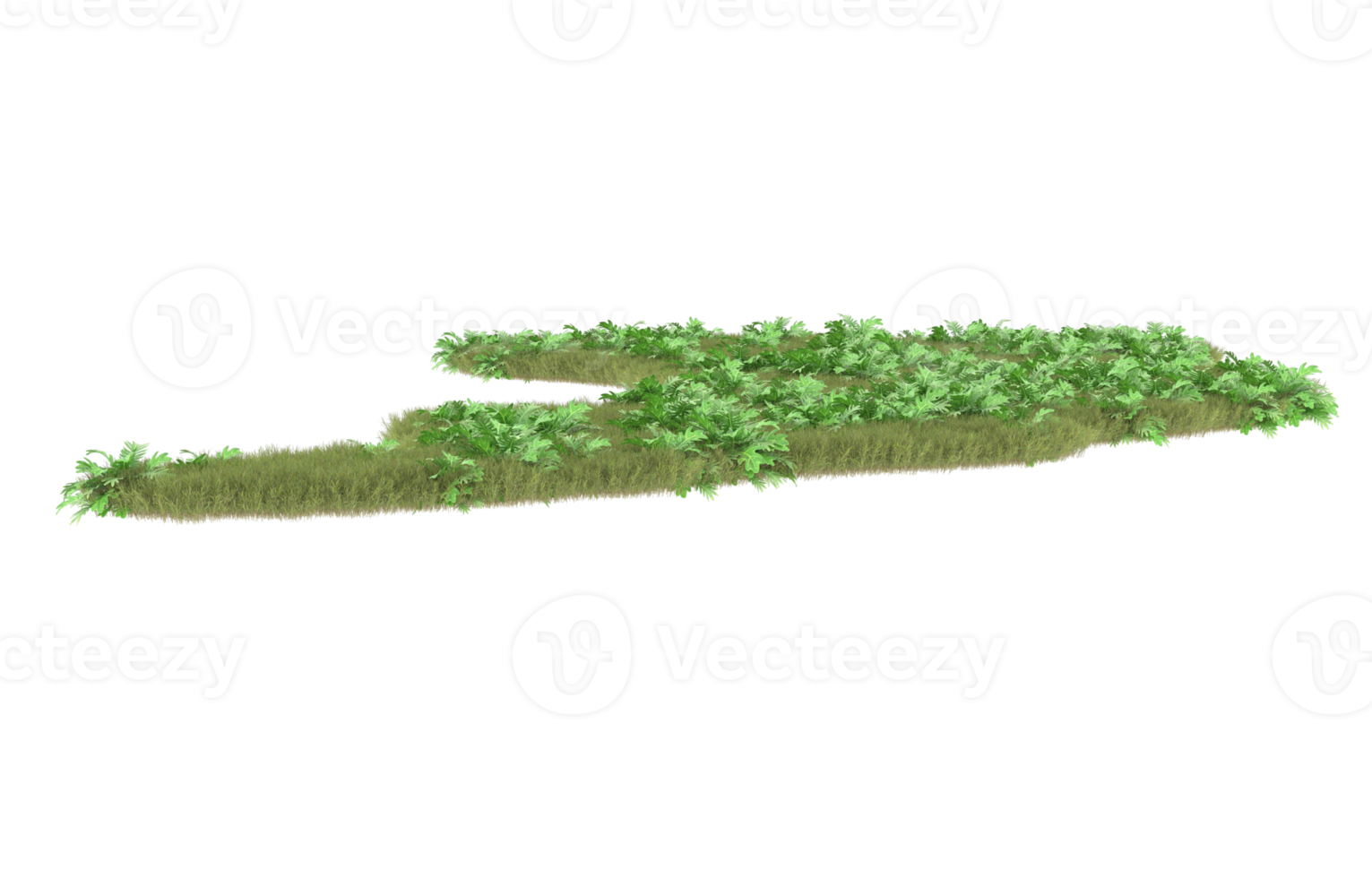 Realistic foliage isolated on transparent background. 3d rendering - illustration png