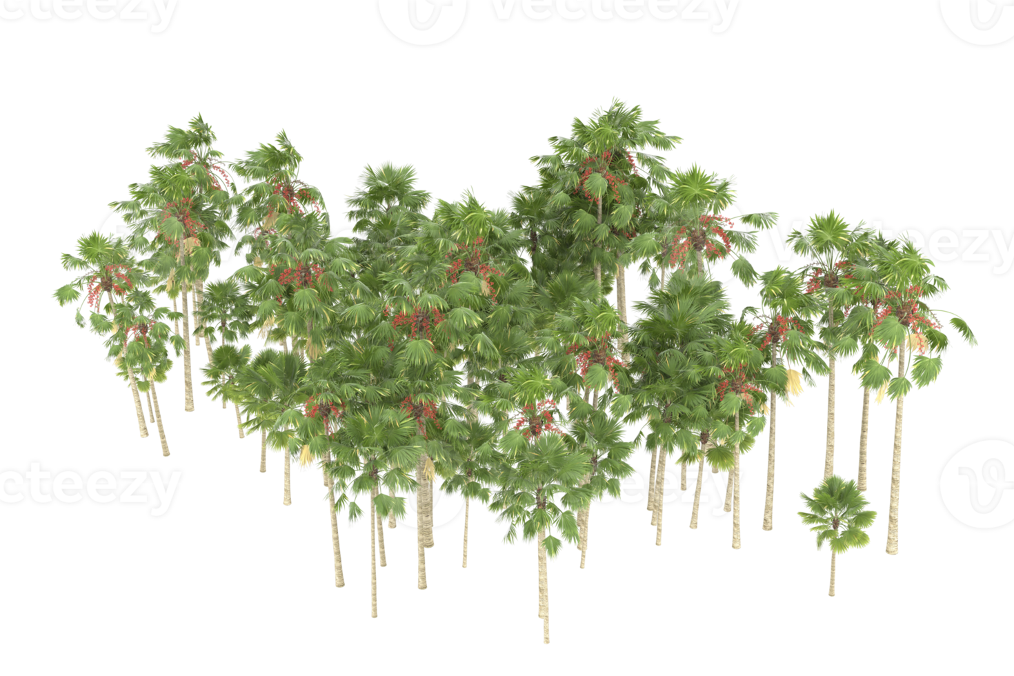 Palm trees isolated on transparent background. 3d rendering - illustration png