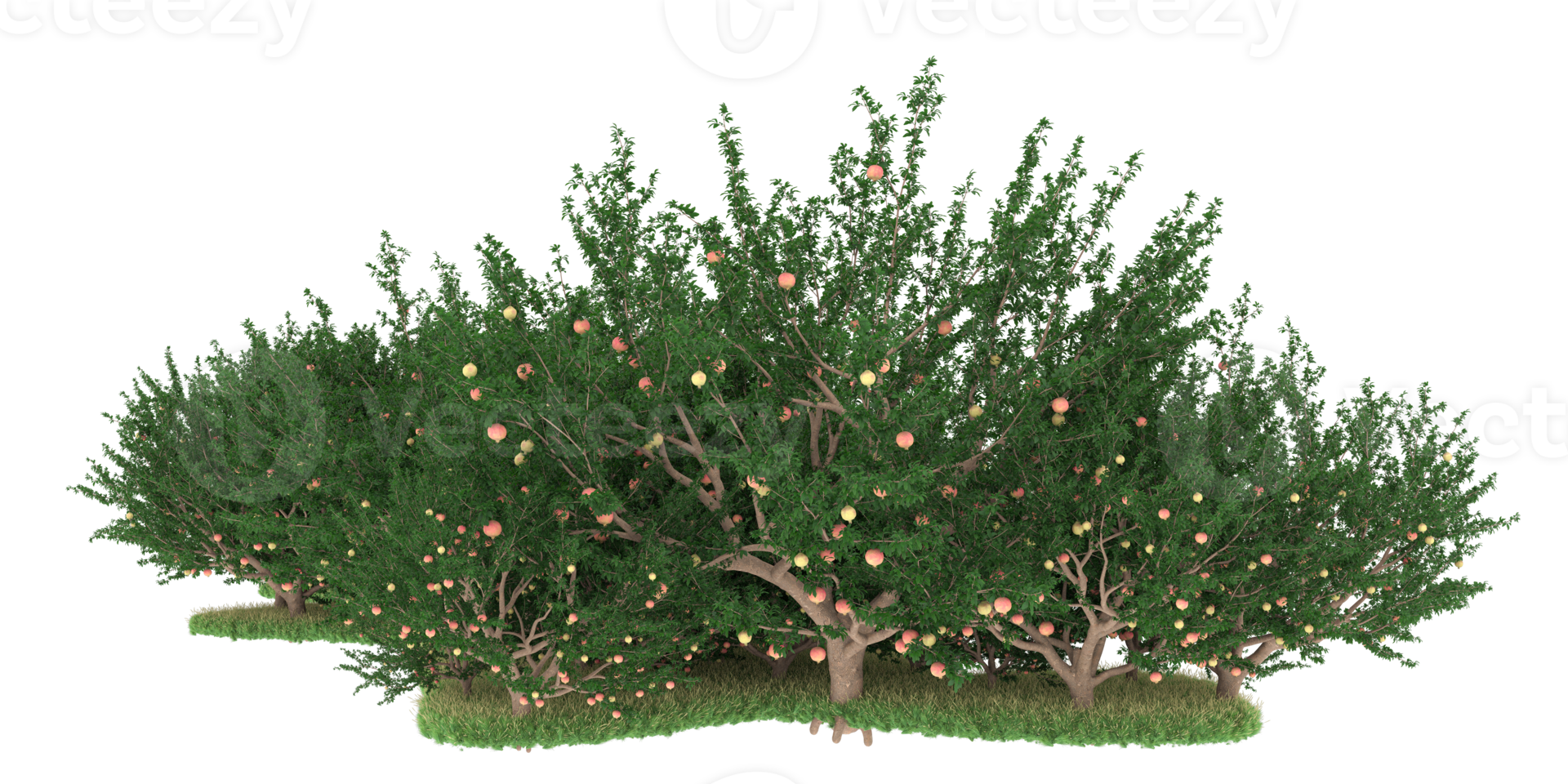 Realistic forest isolated on transparent background. 3d rendering - illustration png