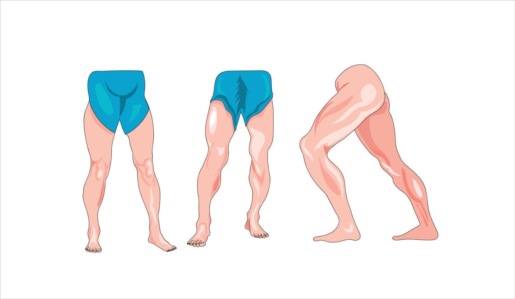 Set of men legs vector illustration on white background
