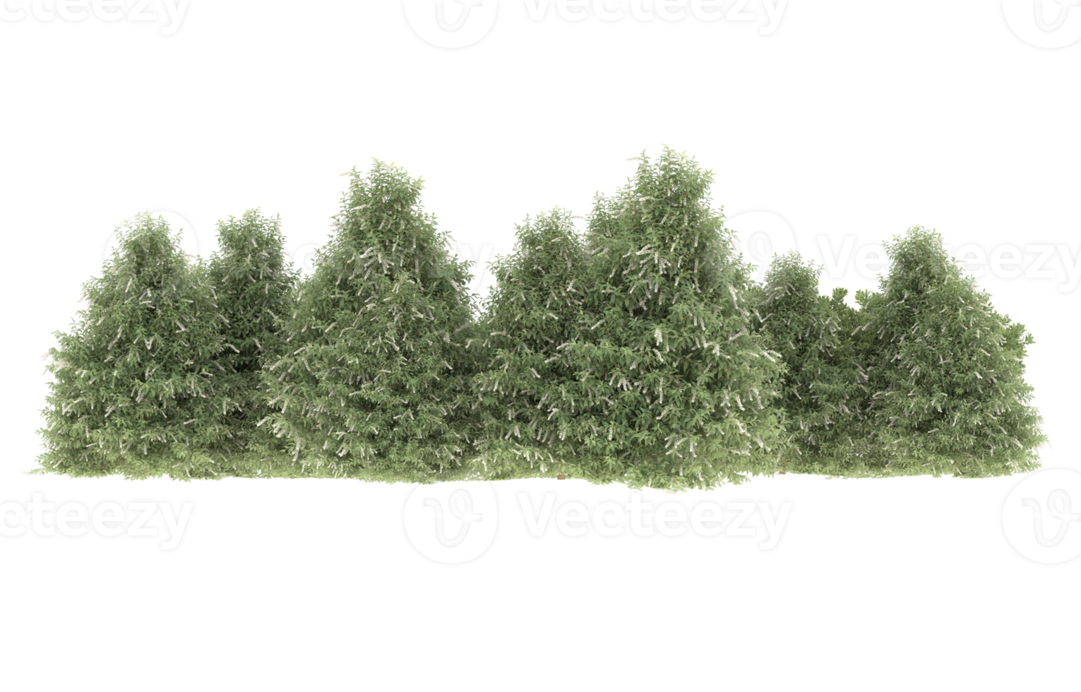 realistisk lövverk isolerat på transparent bakgrund. 3d tolkning - illustration png