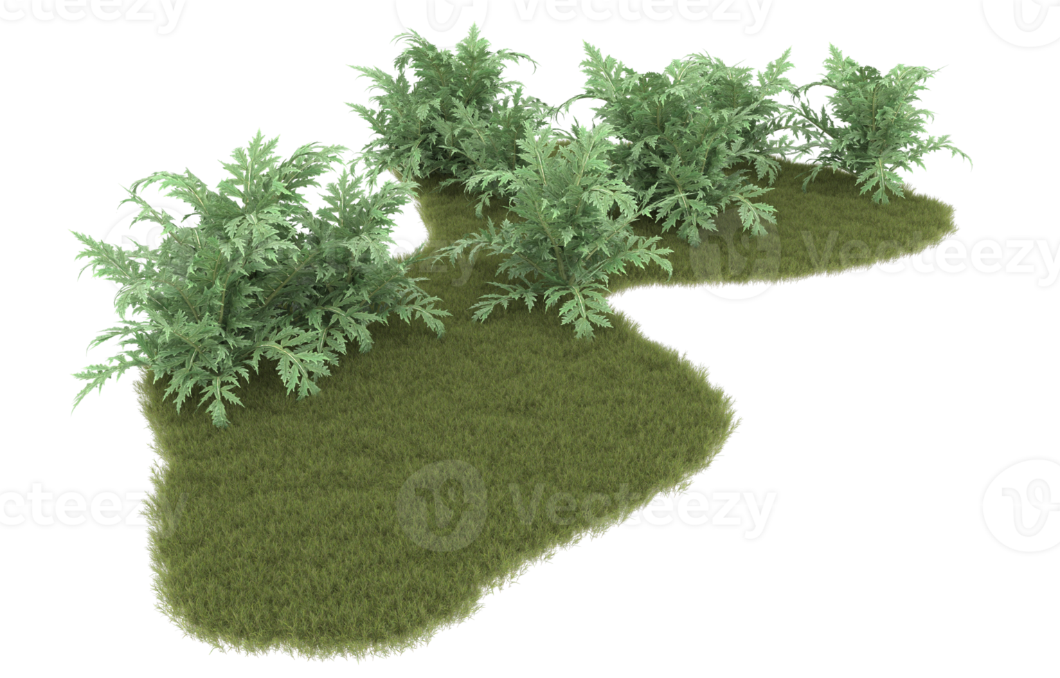Realistic foliage isolated on transparent background. 3d rendering - illustration png