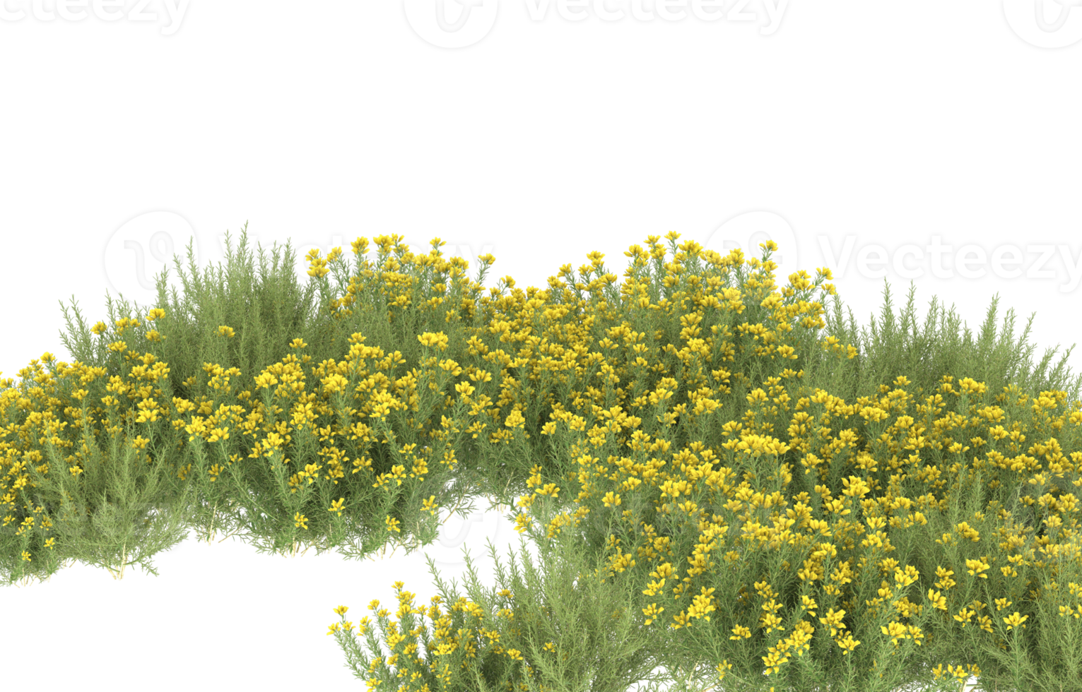 Realistic foliage isolated on transparent background. 3d rendering - illustration png