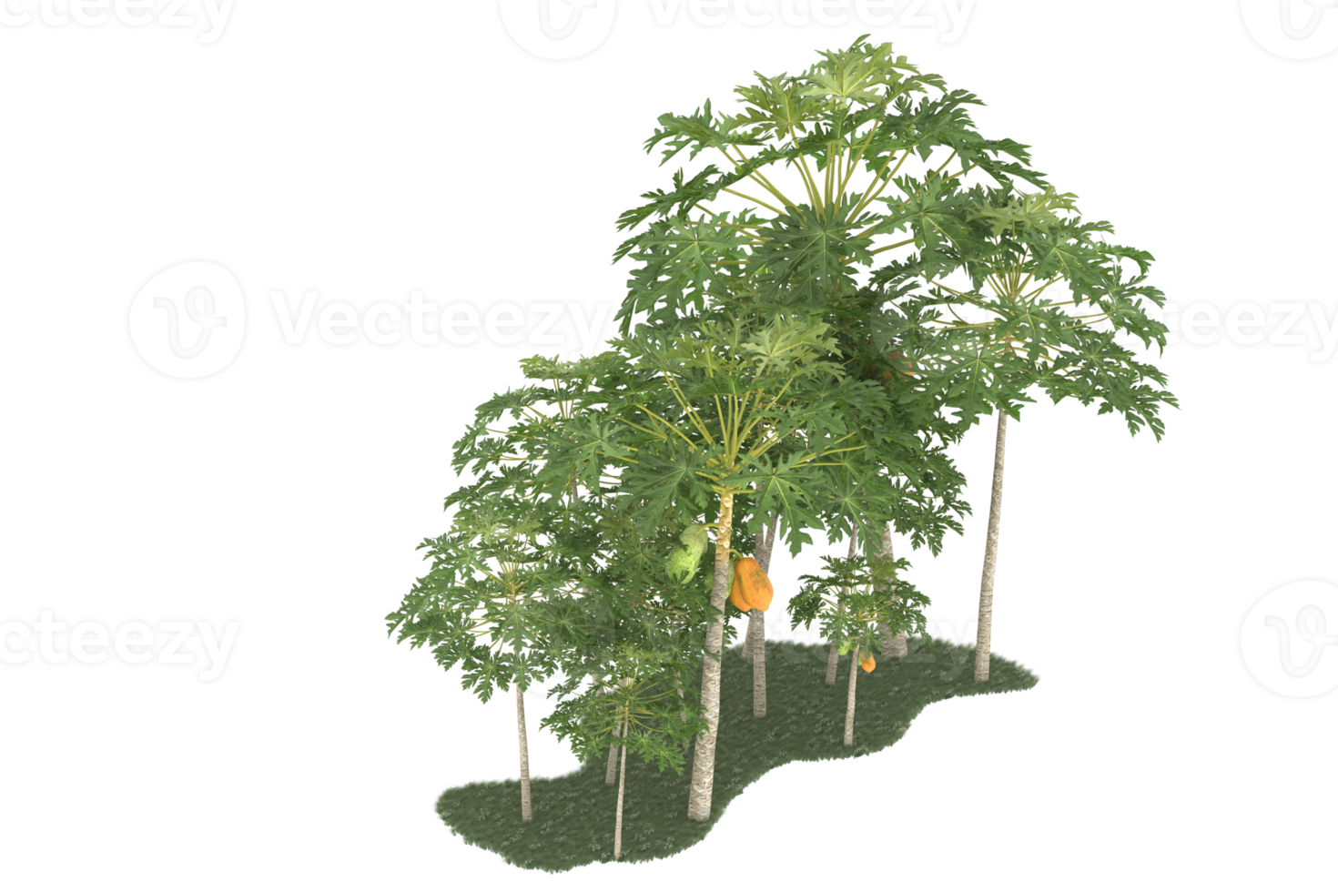Realistic forest isolated on transparent background. 3d rendering - illustration png