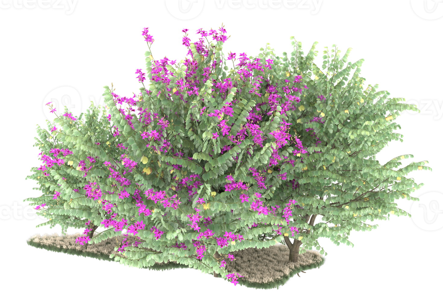 Realistic forest isolated on transparent background. 3d rendering - illustration png