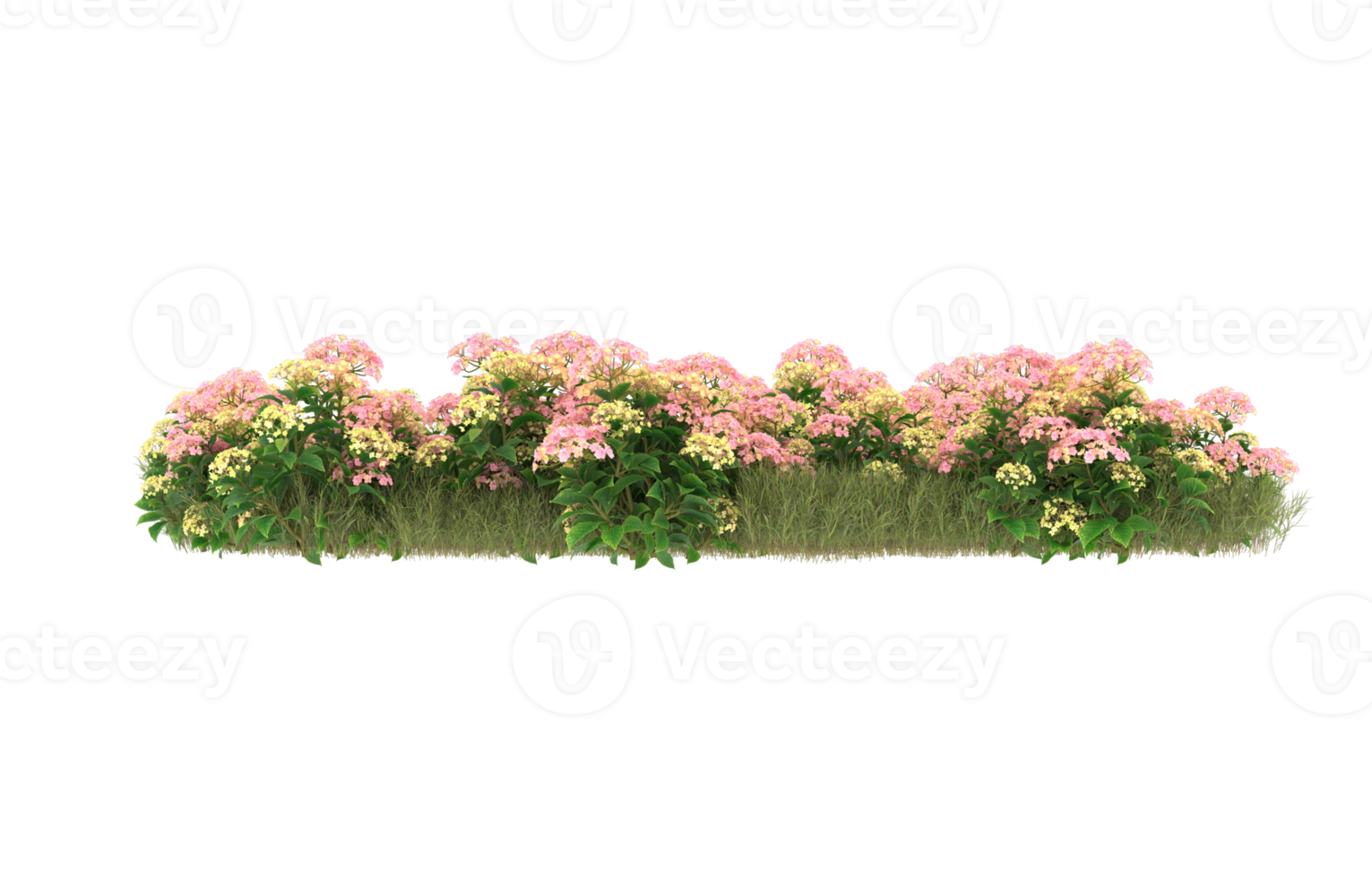 Realistic foliage isolated on transparent background. 3d rendering - illustration png