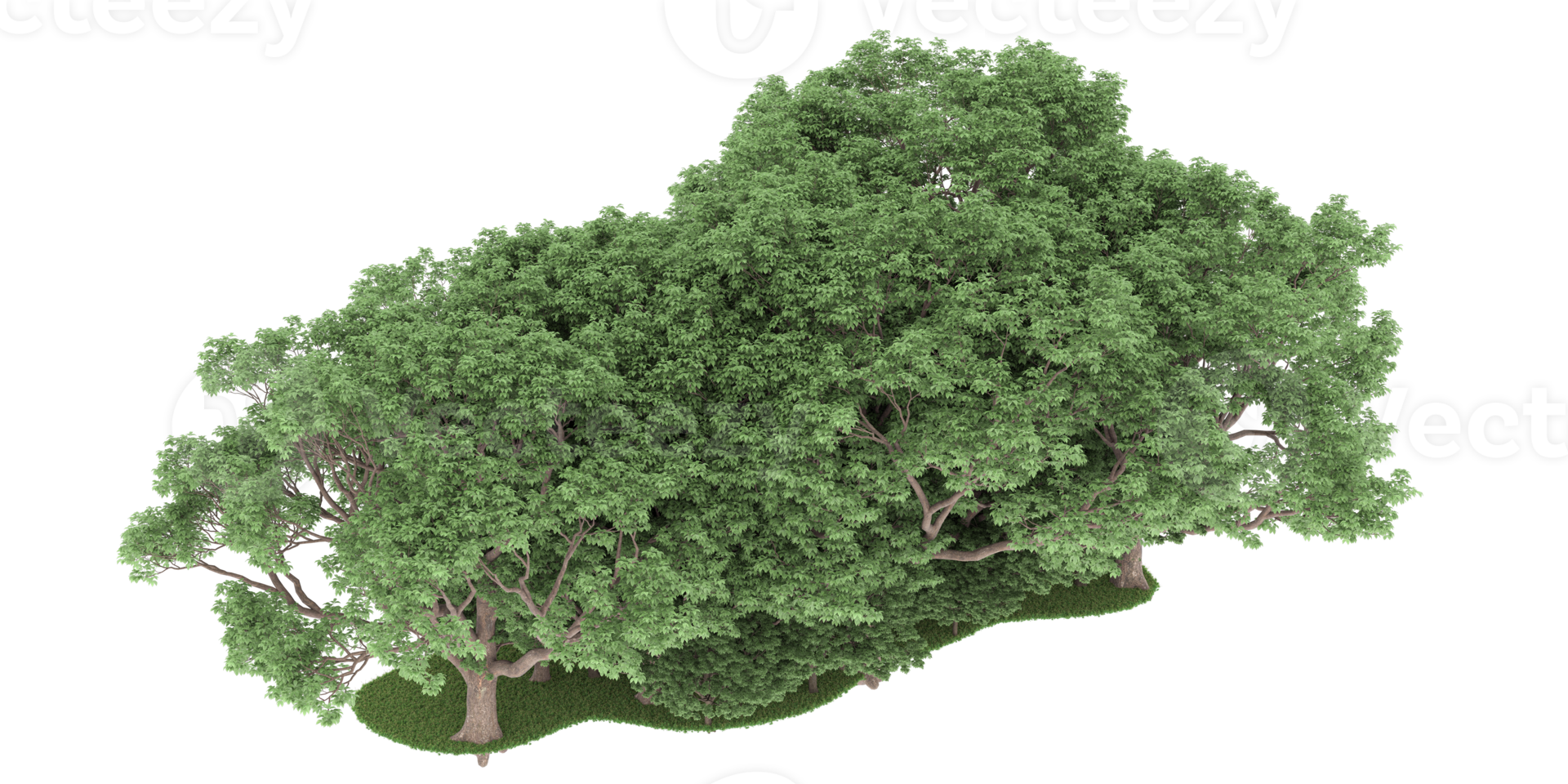 realistischer wald lokalisiert auf transparentem hintergrund. 3D-Rendering - Abbildung png