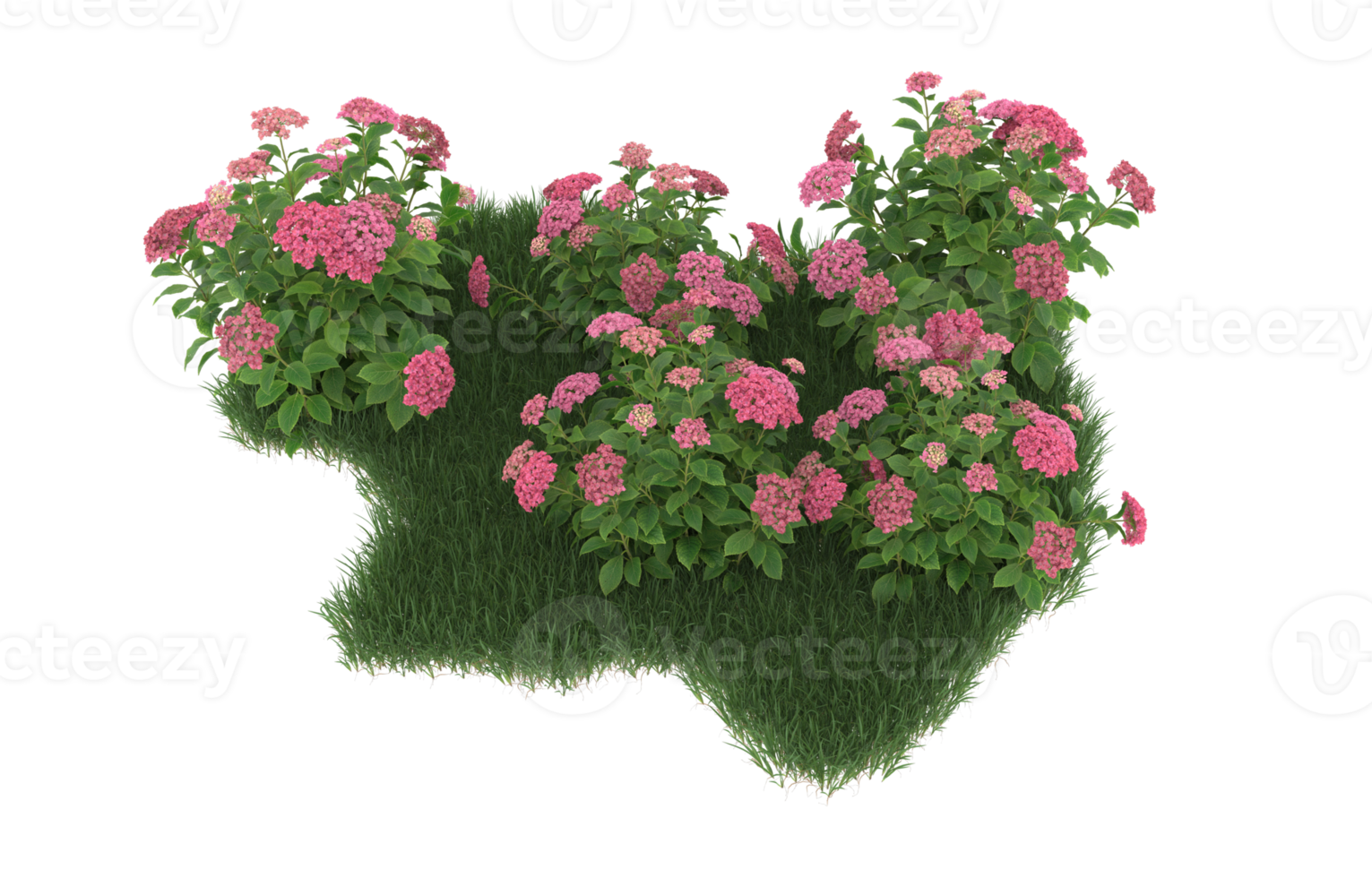 Realistic foliage isolated on transparent background. 3d rendering - illustration png