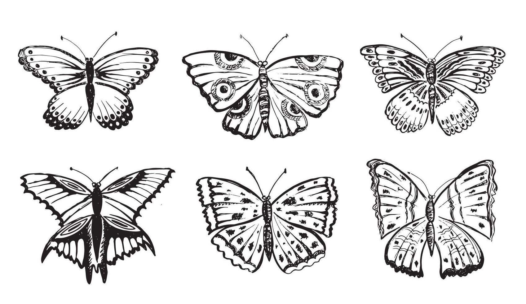 ilustraciones vectoriales dibujadas a mano de mariposas. vector