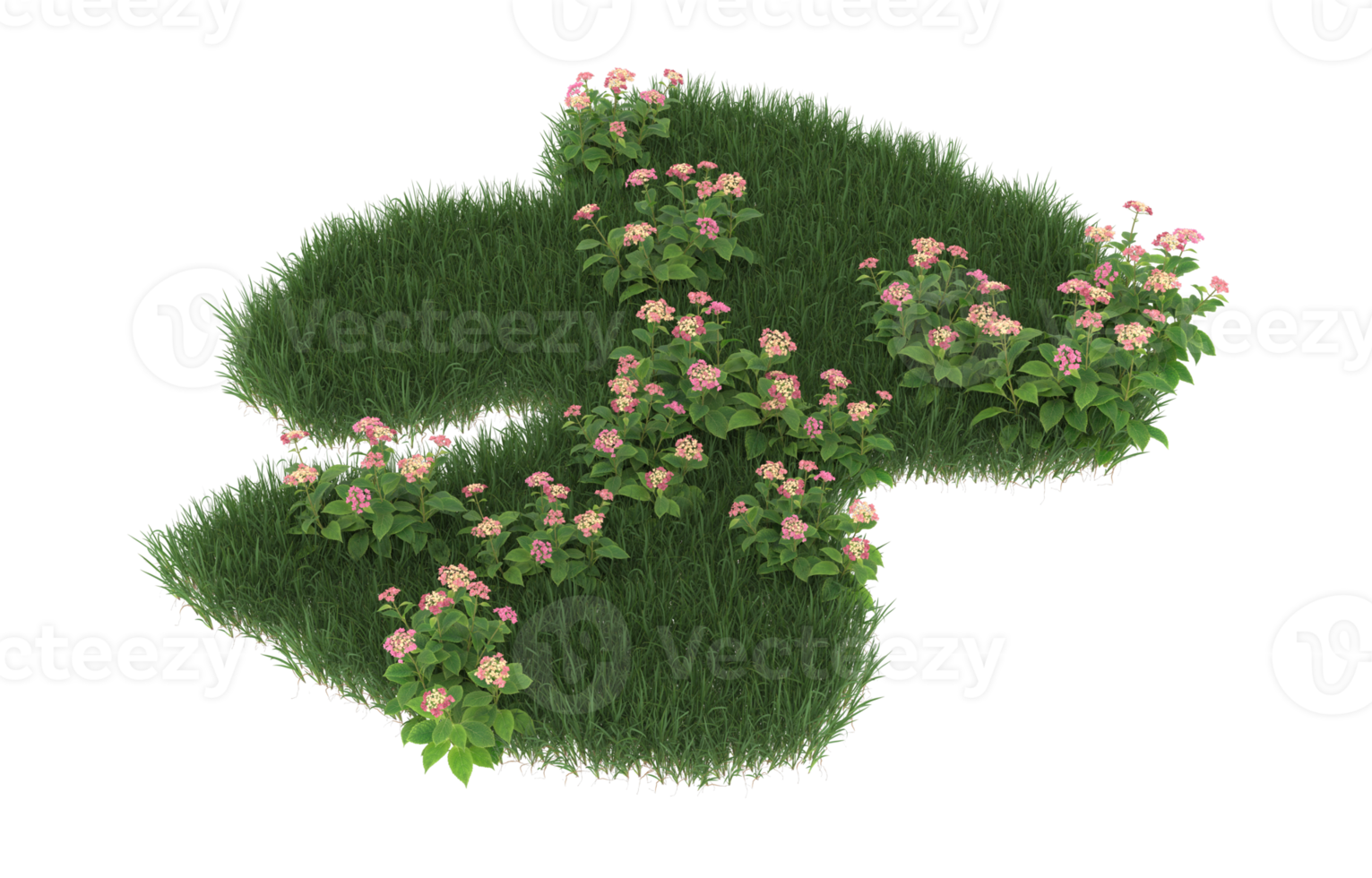 Realistic foliage isolated on transparent background. 3d rendering - illustration png