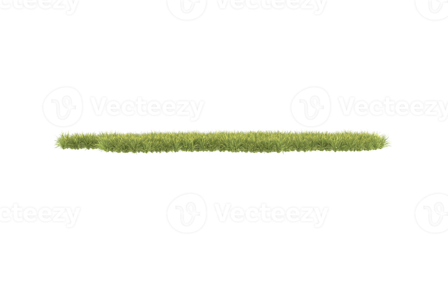 realistisk lövverk isolerat på transparent bakgrund. 3d tolkning - illustration png