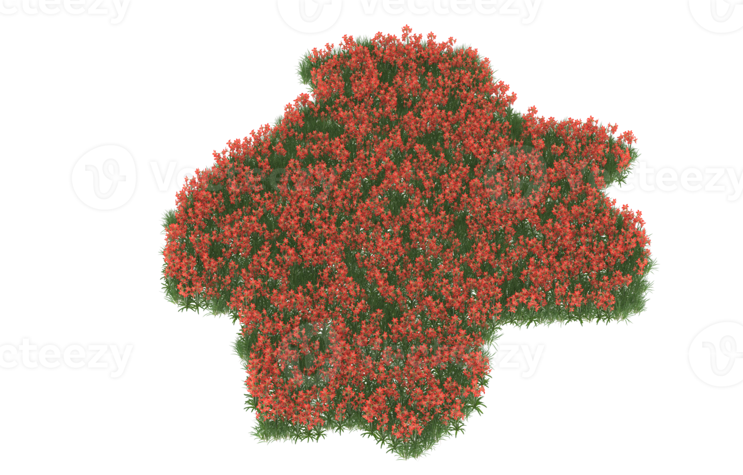 realistisch gebladerte geïsoleerd Aan transparant achtergrond. 3d renderen - illustratie png