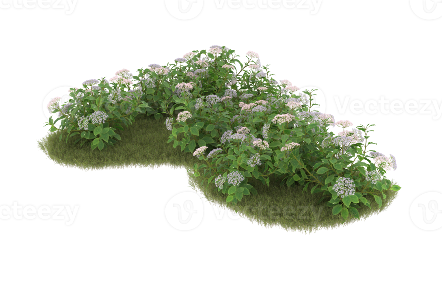 Realistic foliage isolated on transparent background. 3d rendering - illustration png