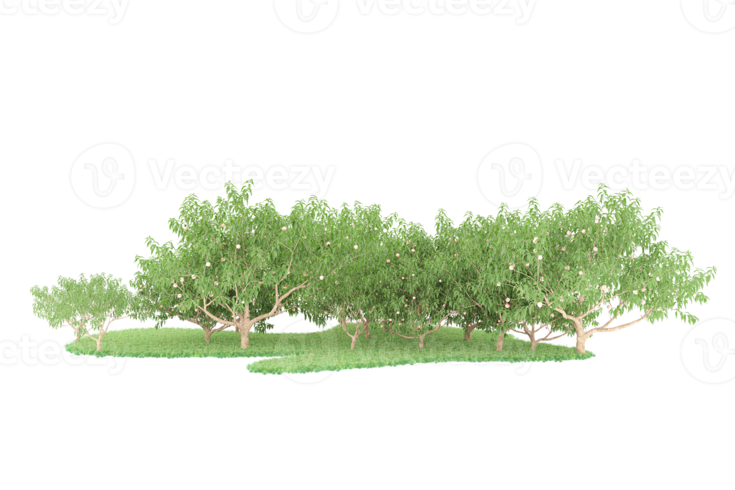 forêt réaliste isolée sur fond transparent. rendu 3d - illustration png