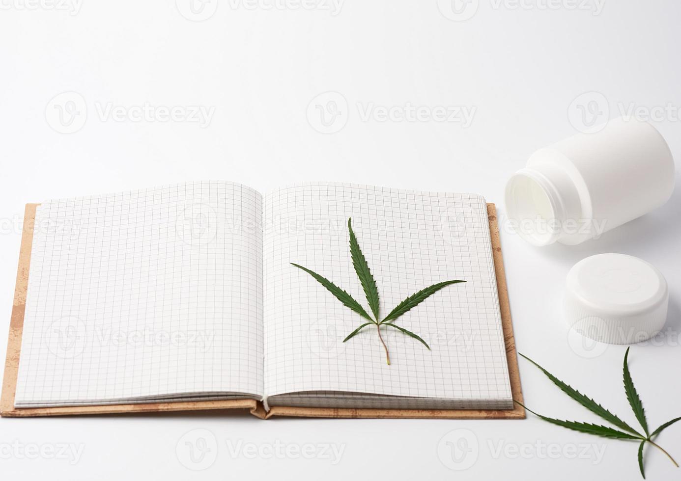 open spiral notebook with blank white sheets and green hemp leaf photo