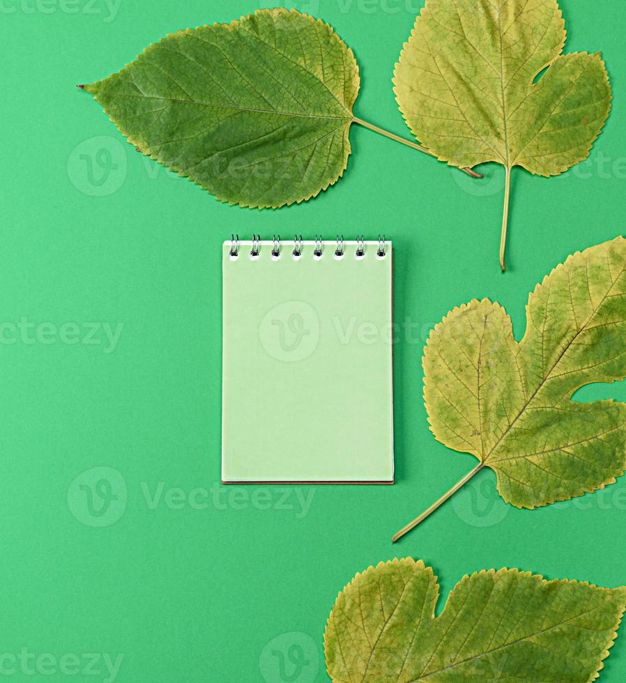 notebook on a green background photo