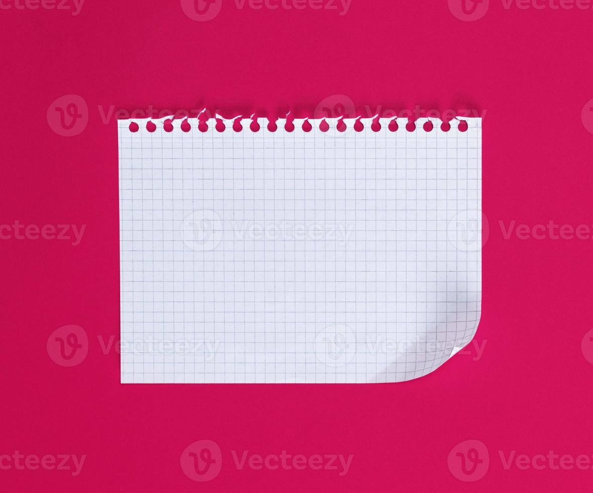 empty rectangular sheet torn out of notepad photo