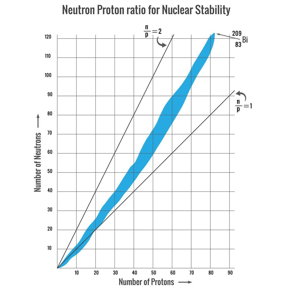 relación de protones de neutrones para la estabilidad nuclear, modo de reacción nuclrar vector