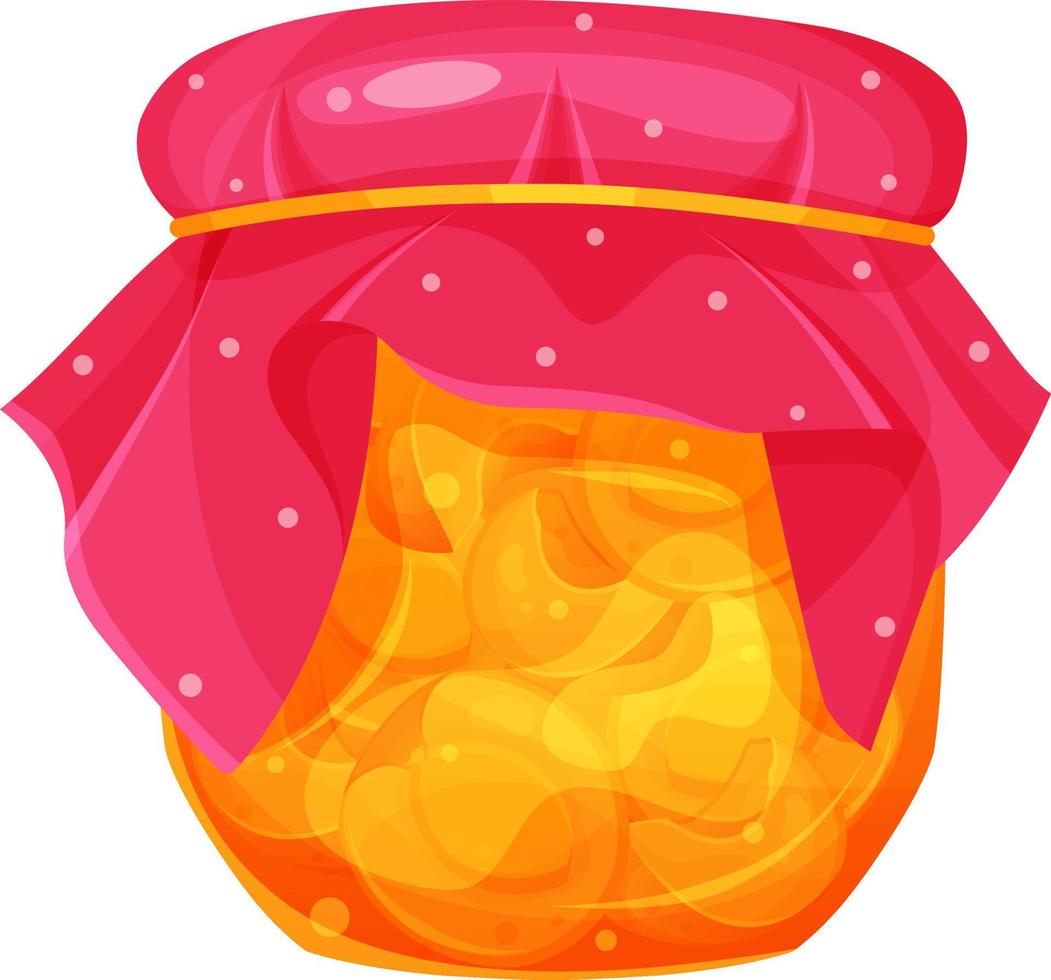 vector illustration of apricot, apricot jam, jam jar, winter preparations, summer fruits, healthy and organic food