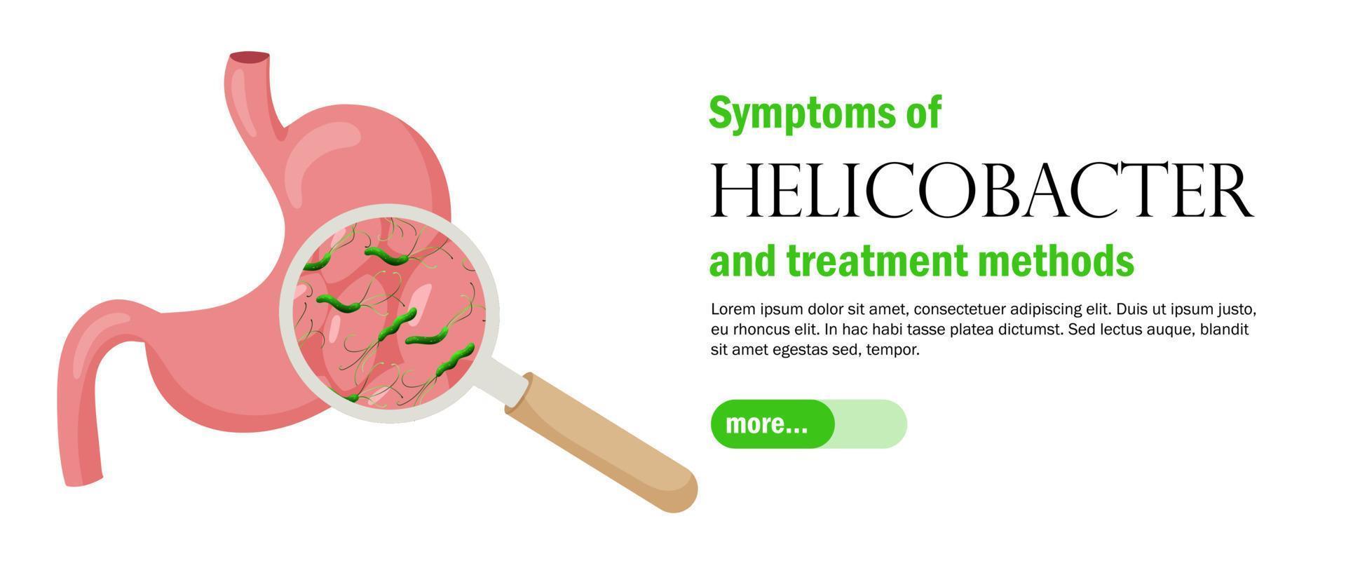 plantilla de banner web con estómago humano y helicobacter pylori. estilo de dibujos animados de ilustración vectorial vector