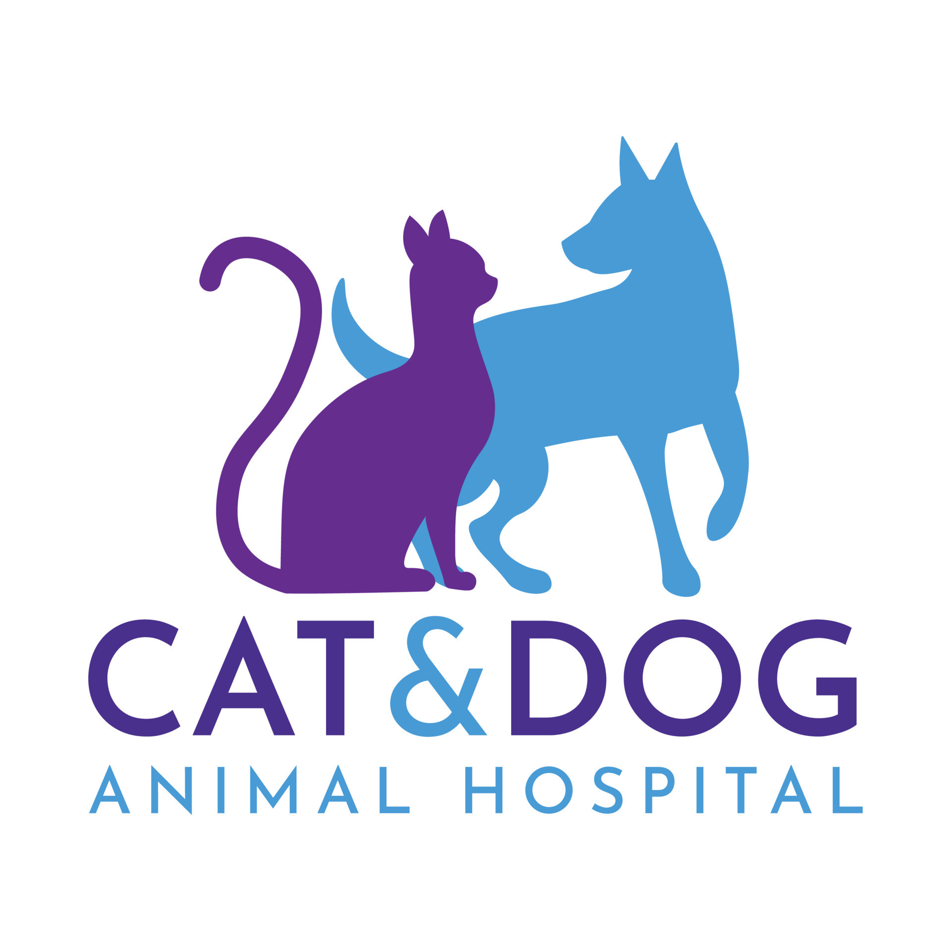 Cat and dog drawing, animal hospital logo 19162410 Vector Art at Vecteezy