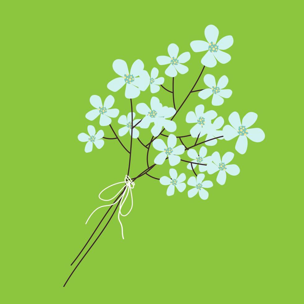 Chery blossom spring branch on green background. vector