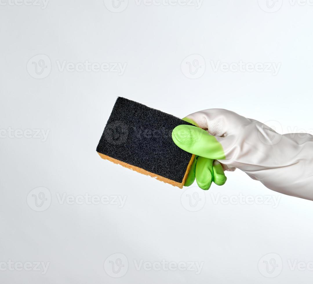 gloved hand holds  kitchen sponge, white background photo