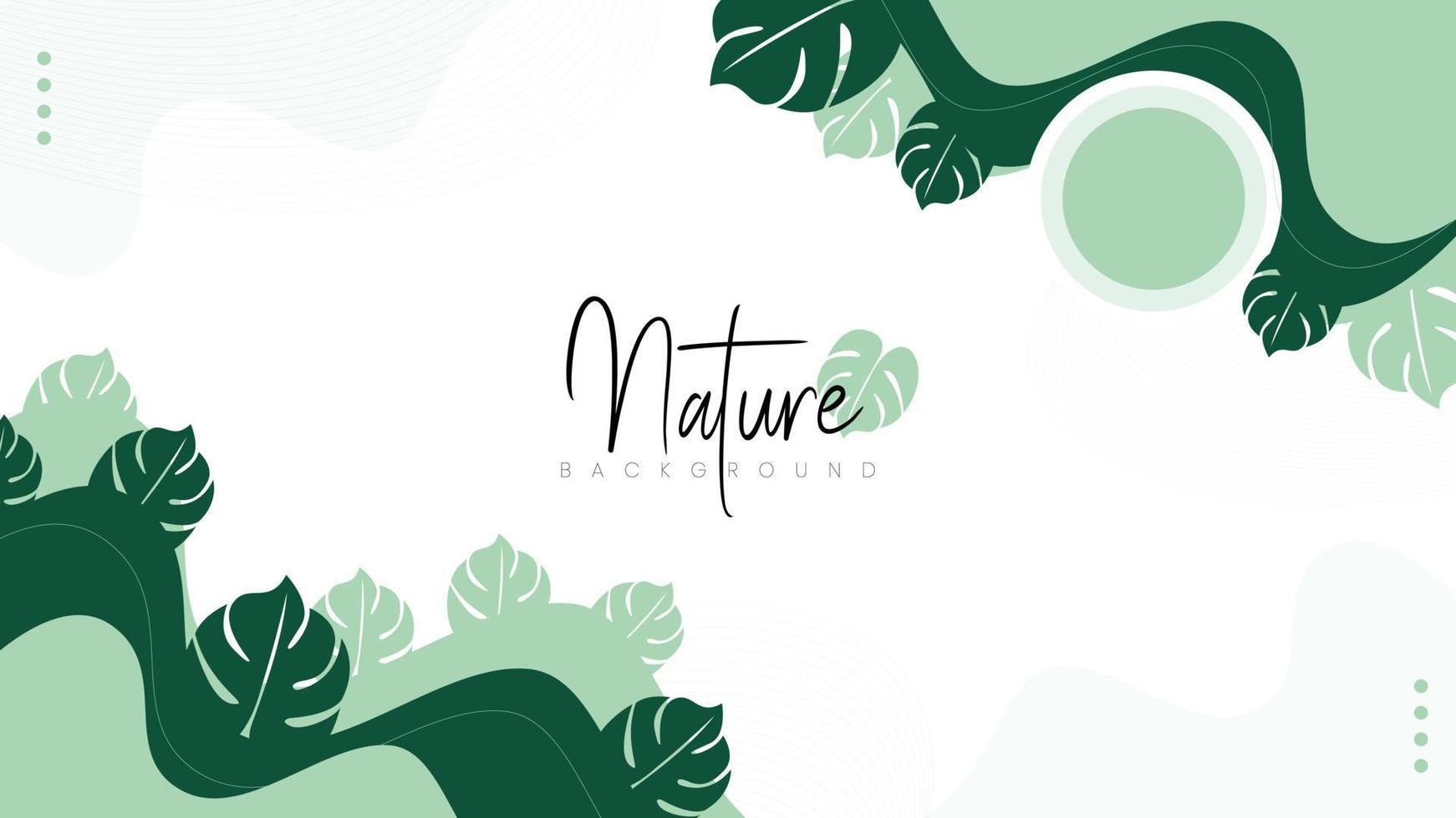 fondo natural con una combinación de líneas de hojas de monstera, minimalista con una combinación de líneas y curvas de hojas de monstera. fondo verde vector