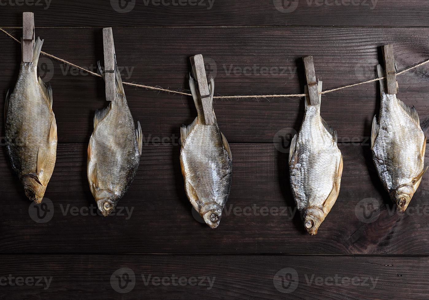 salted fish crucian hanging on a rope hooked on a wooden clothespin photo