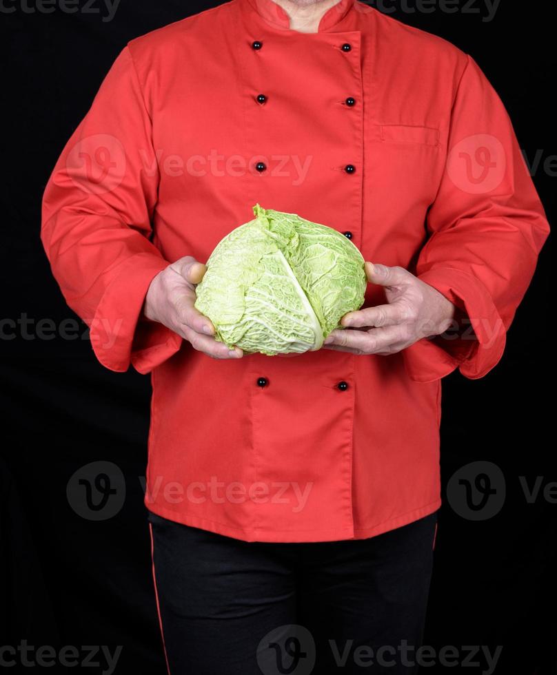 chef in a red uniform holds a whole cabbage photo