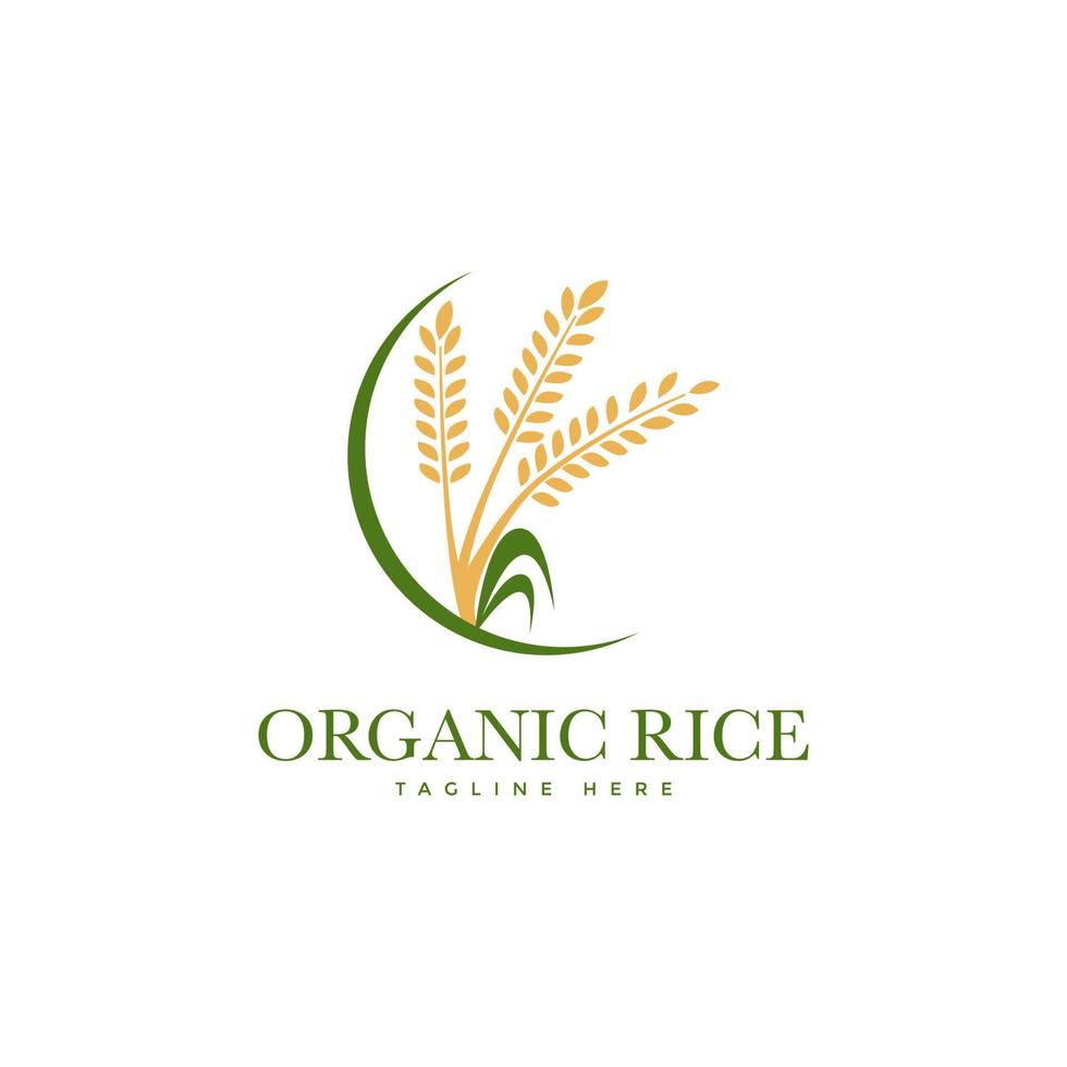 diseño de logotipo de banner de producto natural orgánico de arroz premium vector