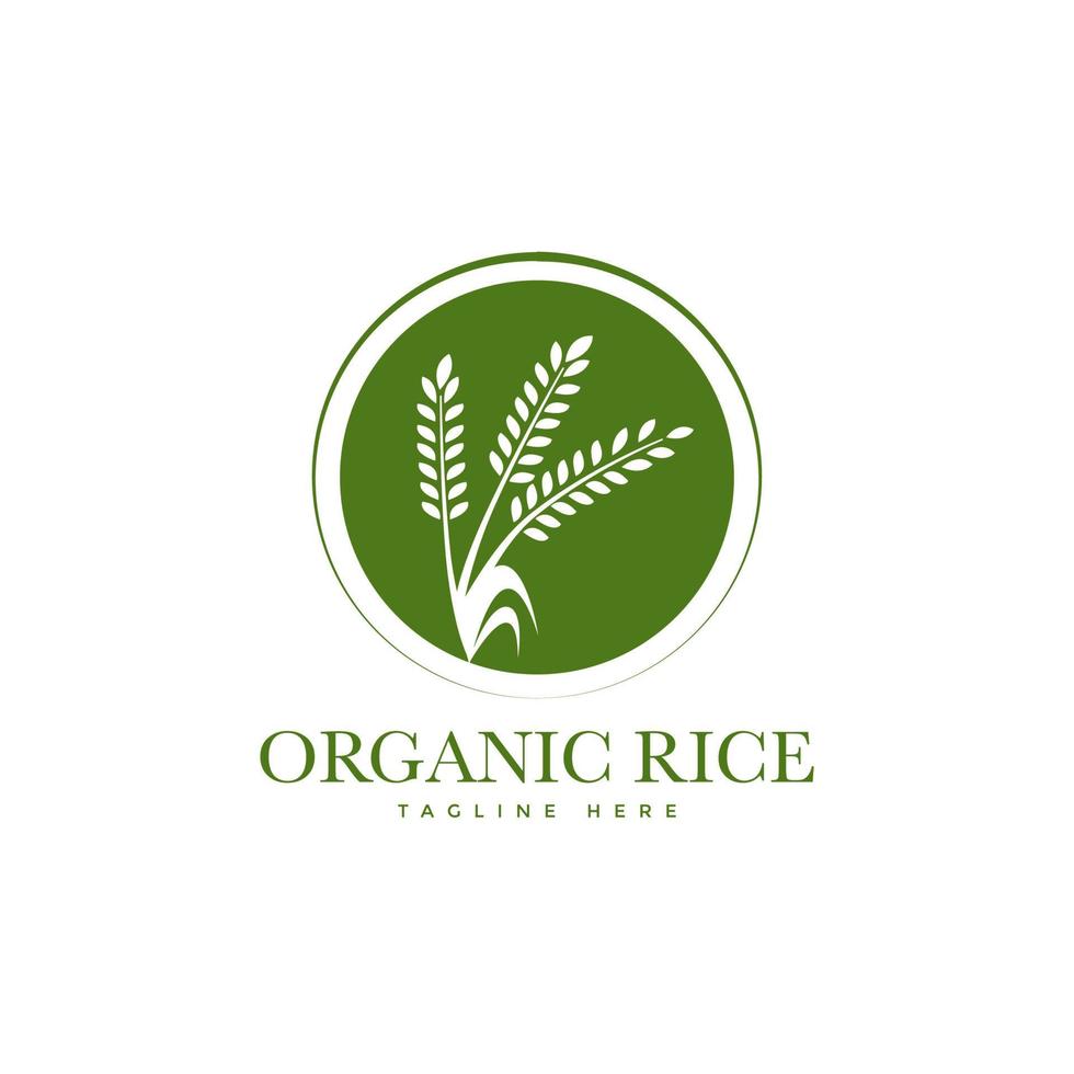 diseño de logotipo de banner de producto natural orgánico de arroz premium vector