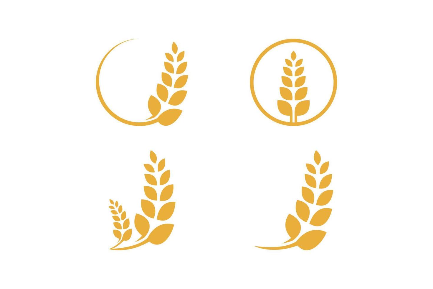 colección de plantillas de diseño de vectores de logotipo de cultivo de trigo