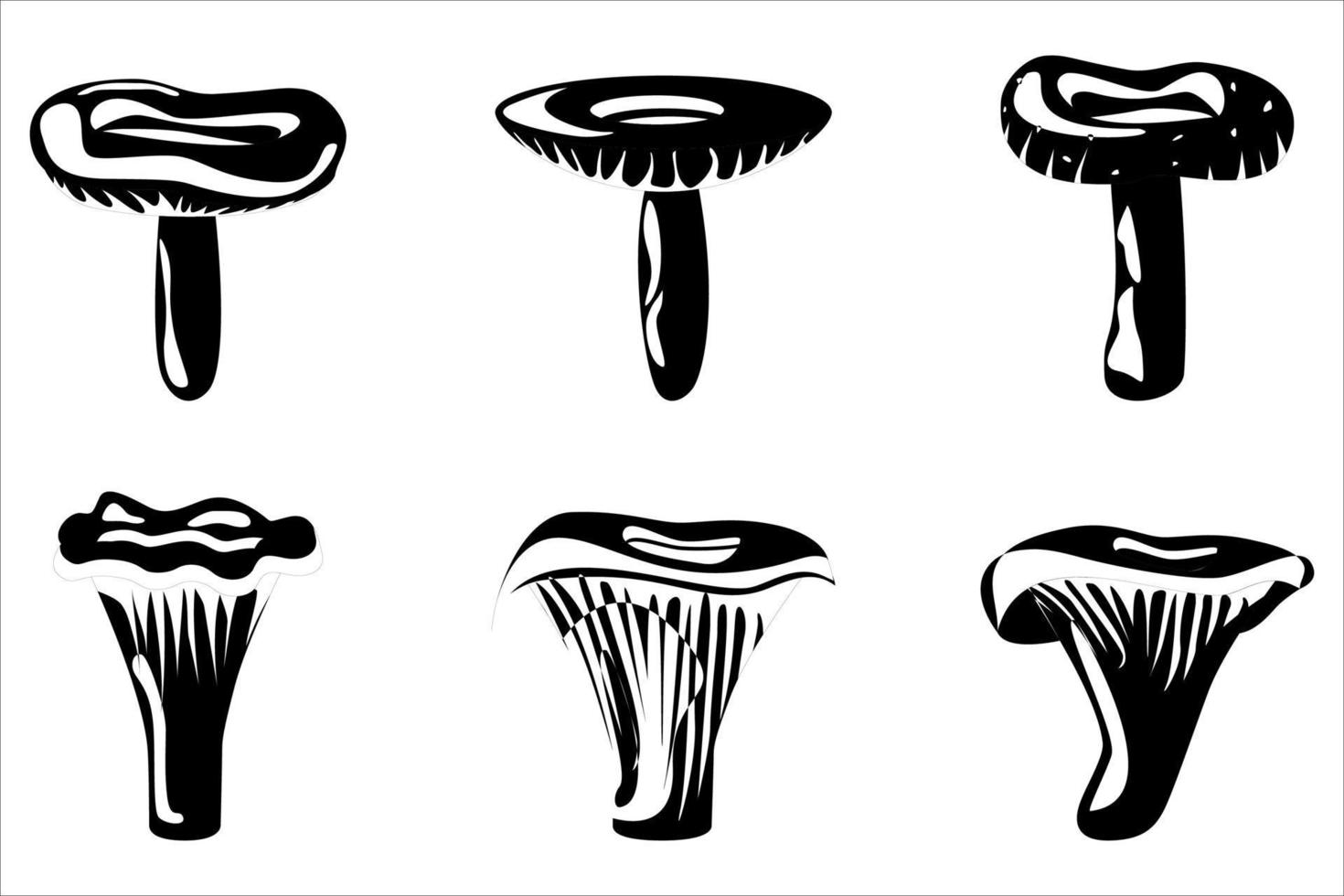 establecer el contorno de las setas. hongos orgánicos comestibles. trufa. Tipos de hongos silvestres del bosque. vector de ilustración aislado sobre fondo blanco.