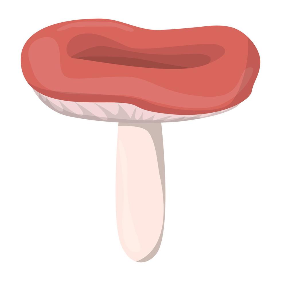 Russula mushroom. Edible Organic mushrooms. Truffle. Forest wild mushrooms types. Colorful vector illustration isolated on white background.