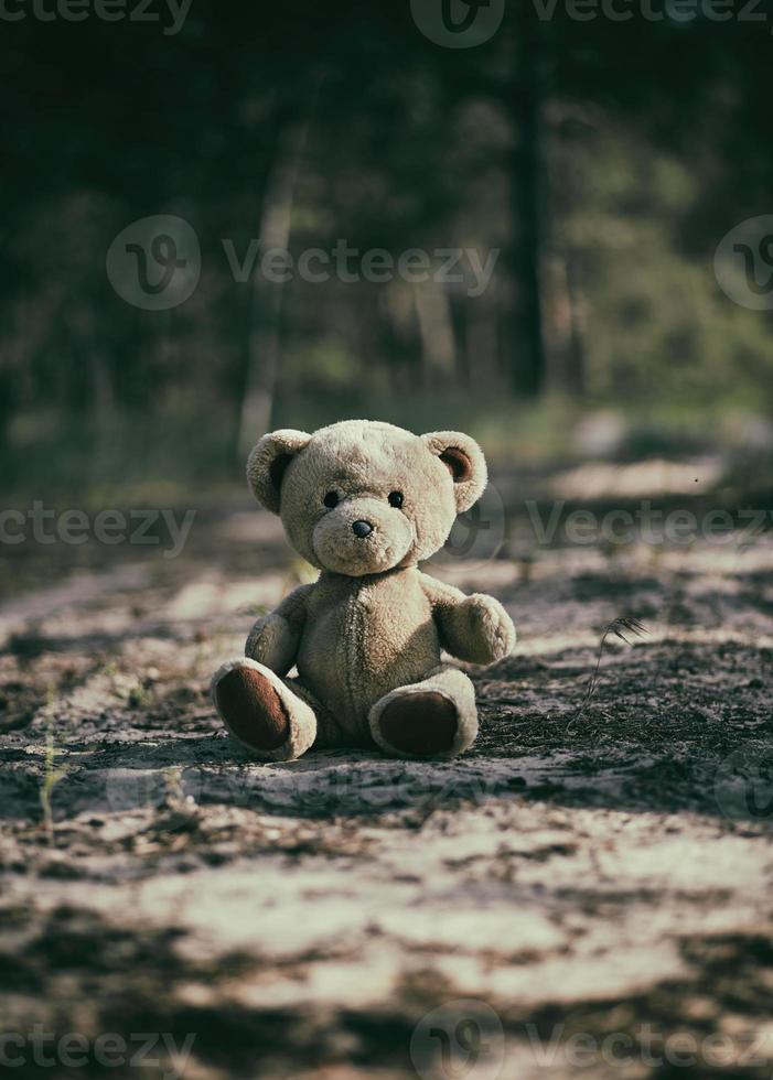 abandoned brown teddy bear sitting in the middle of the forest in the evening photo