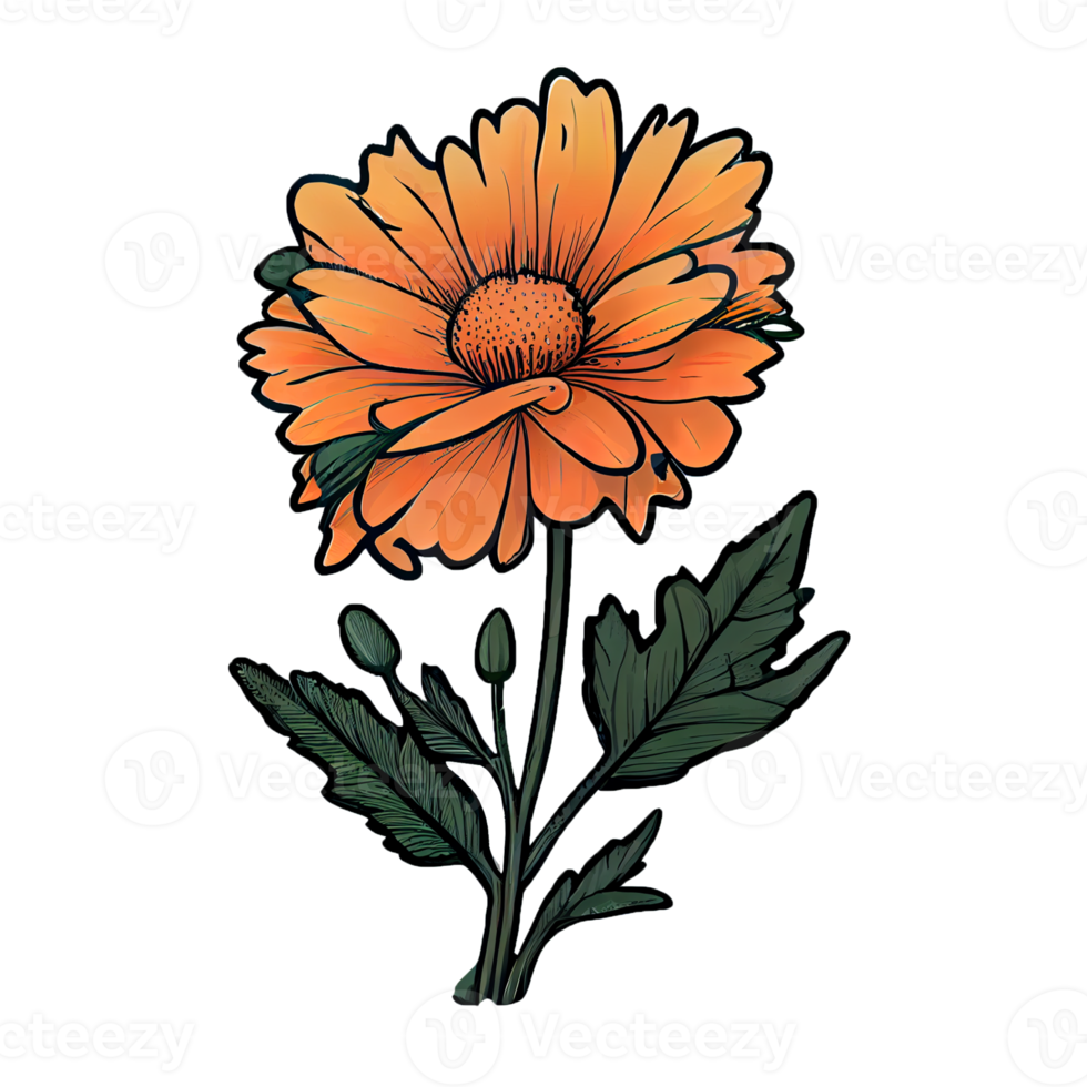 Cute orange flower hand drawn element, perfect for decorating  Valentine Day or Mother Day card. png