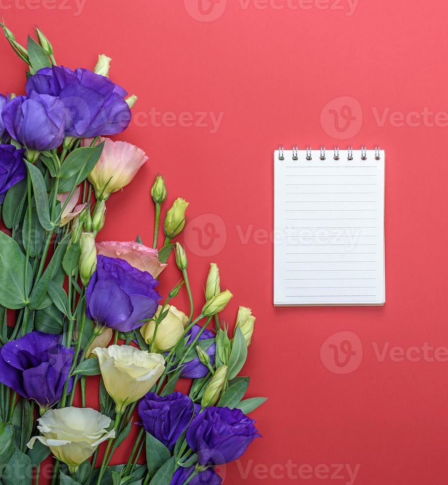 open notebook in line on a red background photo