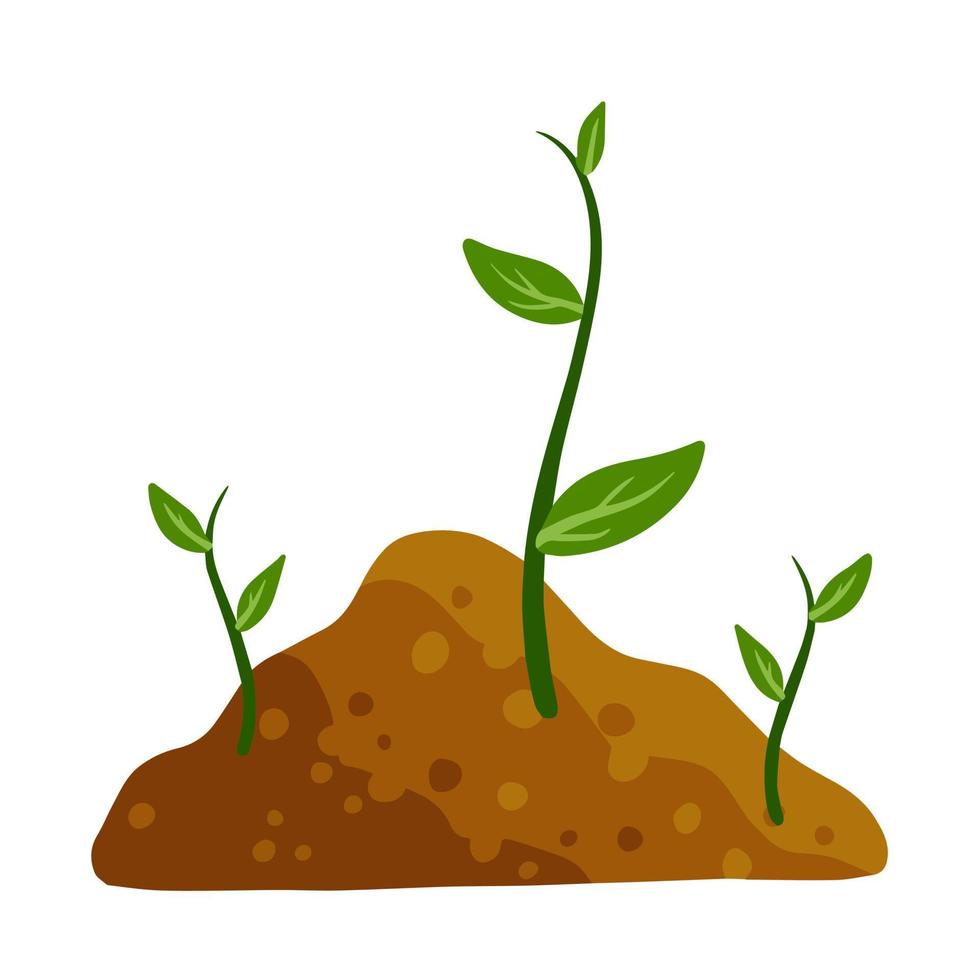 Sprout of plant in ground. Green leaves of young seedlings in soil. Flat cartoon illustration vector