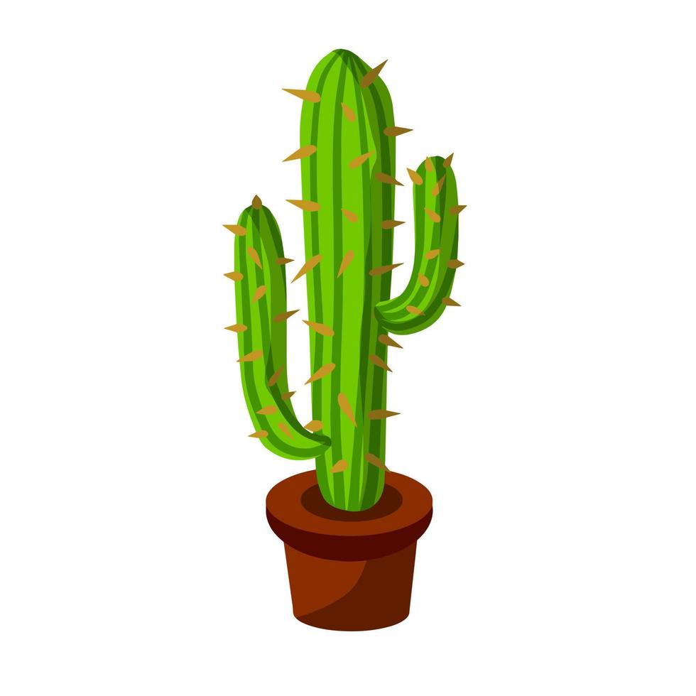 Cactus in pot. House plant. Green succulent. Flat cartoon illustration isolated vector